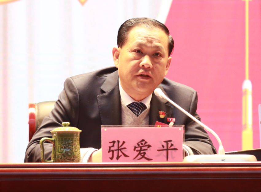 张爱平同志宣读中共爱体育app首页_爱体育（中国）,第一届党委成员分工及纪委成员分工